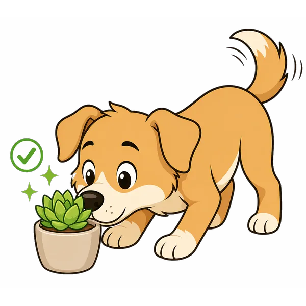 Bailey, a golden retriever, sniffing a potted succulent beside a green check mark