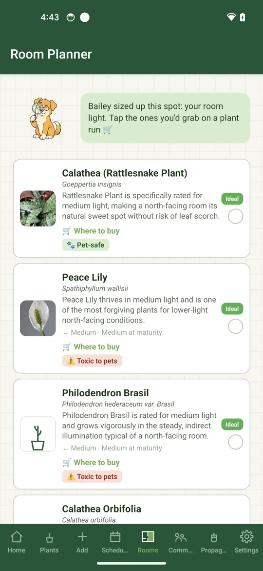 Plant suggestions matched to a room's light