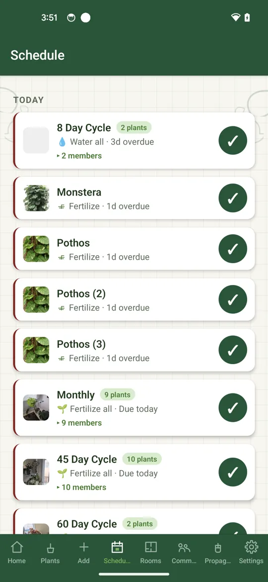 The care schedule listing upcoming watering
